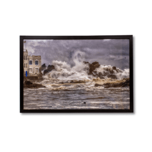 17 Ballena Púrpura Flotando en Cielo Naranja